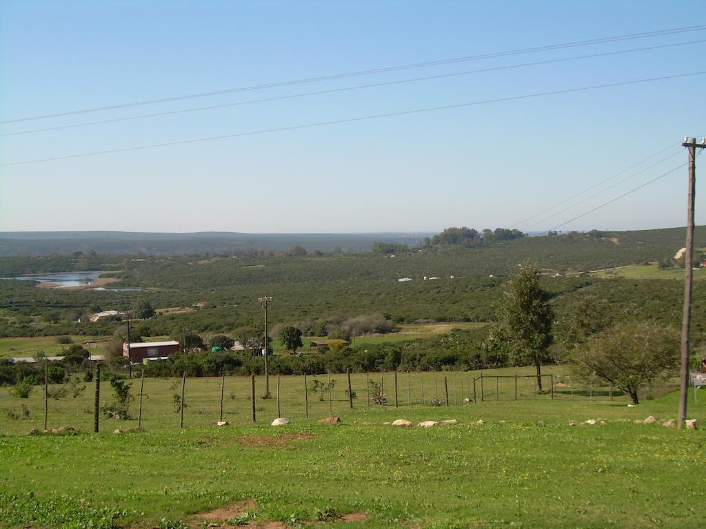 The Hexagon Wildlife Conservation Hotel Uitenhage Exterior photo